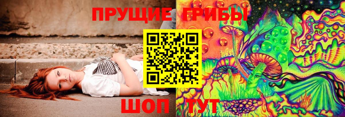 Назарово  Псилоцибиновые грибы Psilocybine cubensis  купить закладку  Вход с VPN 